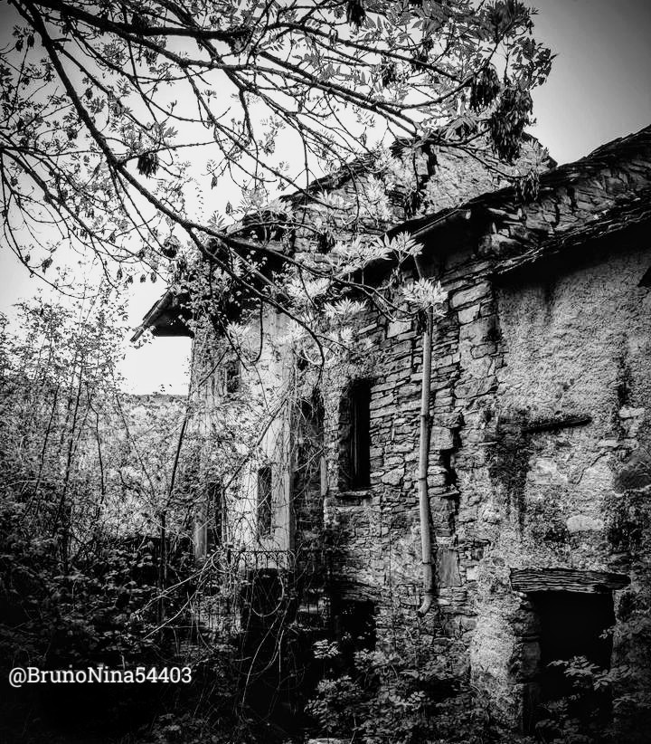 BrunoNina_Photo's tweet photo. © https://t.co/tApHeO0ivX