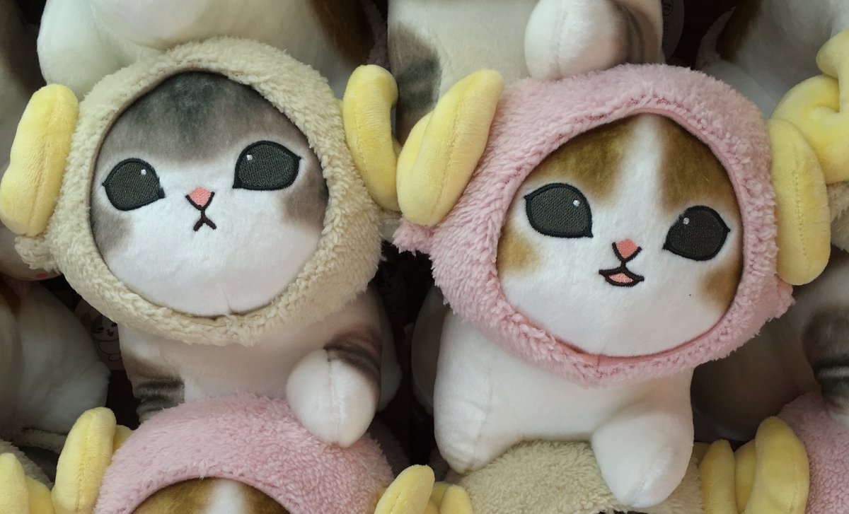 ひつじ と にゃんこ で ＼  || // ／ 🐏ひつじにゃん