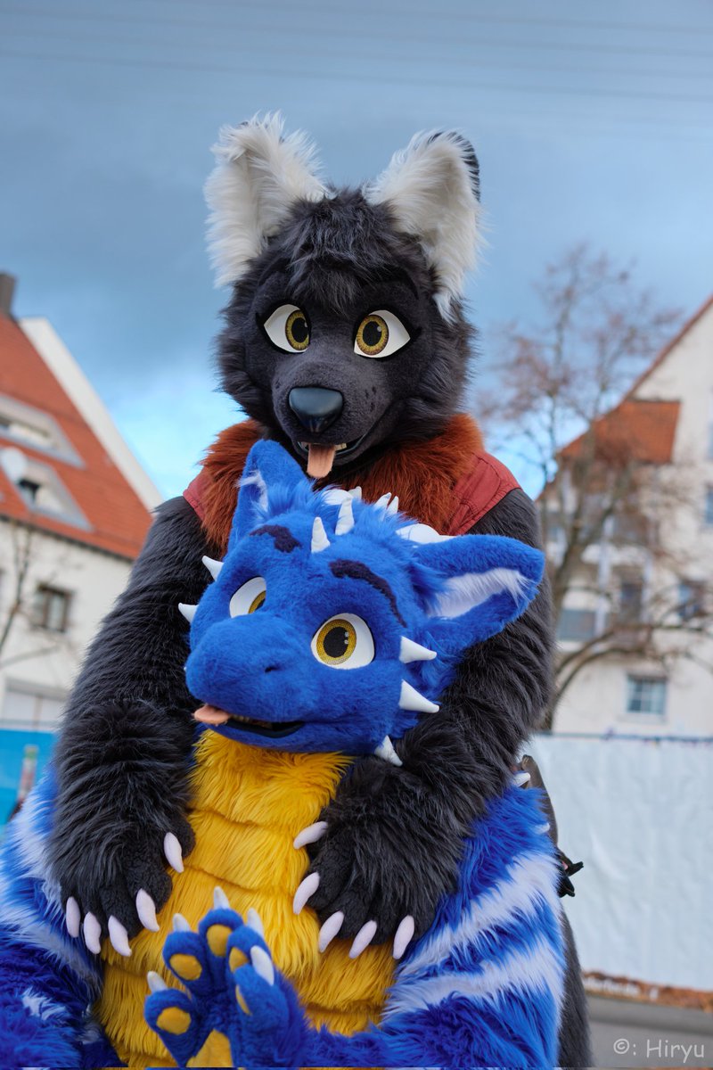 Happy #FursuitFriday with my big derg brother @CyberTheDerg 🧵 suits by @whitewingsuits 📷 @HiryuTheDragon 📍medieval market Geislingen Check out my NEWS Channel: t.me/chaoswoelfin_o… #furry #furryfandom #FursuitEveryday