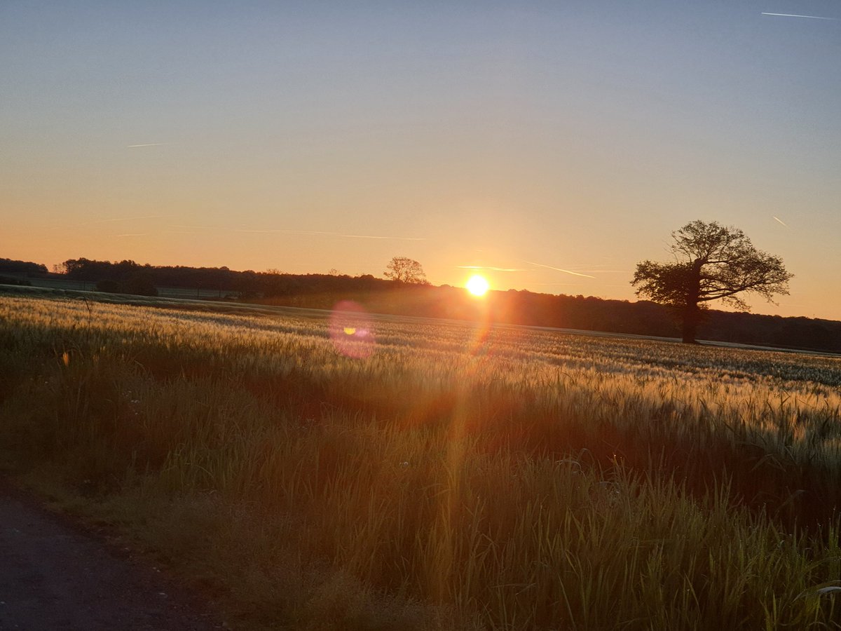 Bonne gelée, ce matin en #Charentemaritime