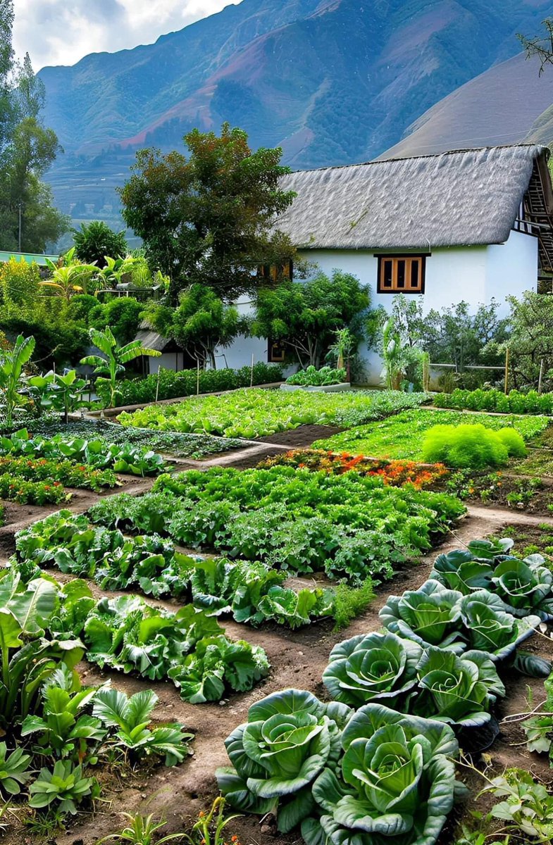 Agric_young's tweet photo. Backyard farming is the practice of utilising any kind of space you have in your yard in order to grow and produce your own food. Whether you have a large or small yard, or even a balcony, you are able to have a backyard farm.
#backyardfarming #backyard #farming #garden #farm https://t.co/XORdUgWlqr