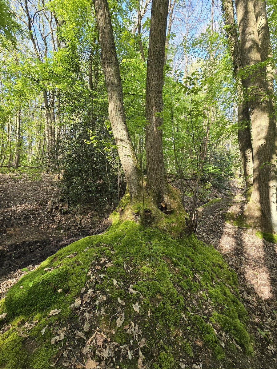 Bonjour, très belle journée