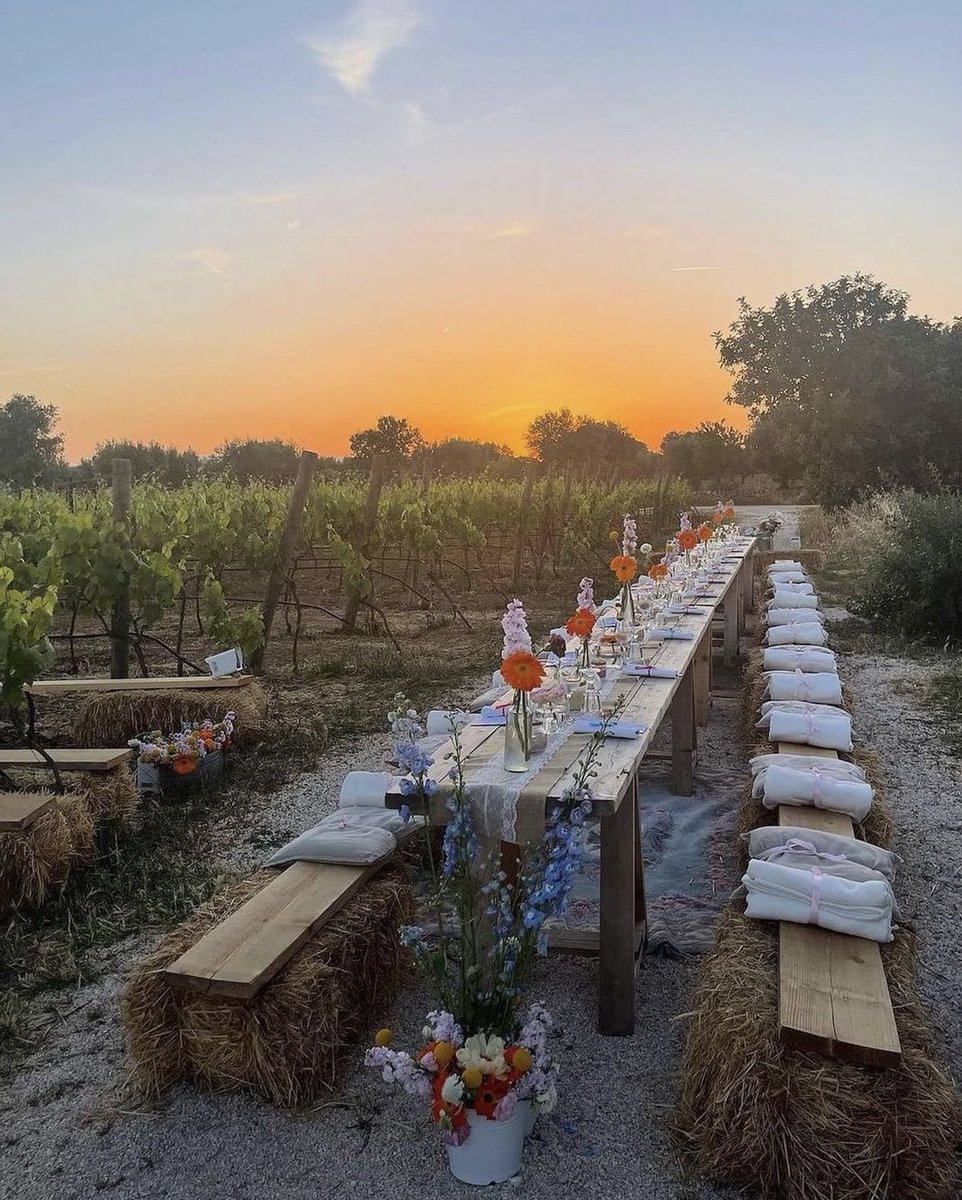 sunset dinner in the vineyard
