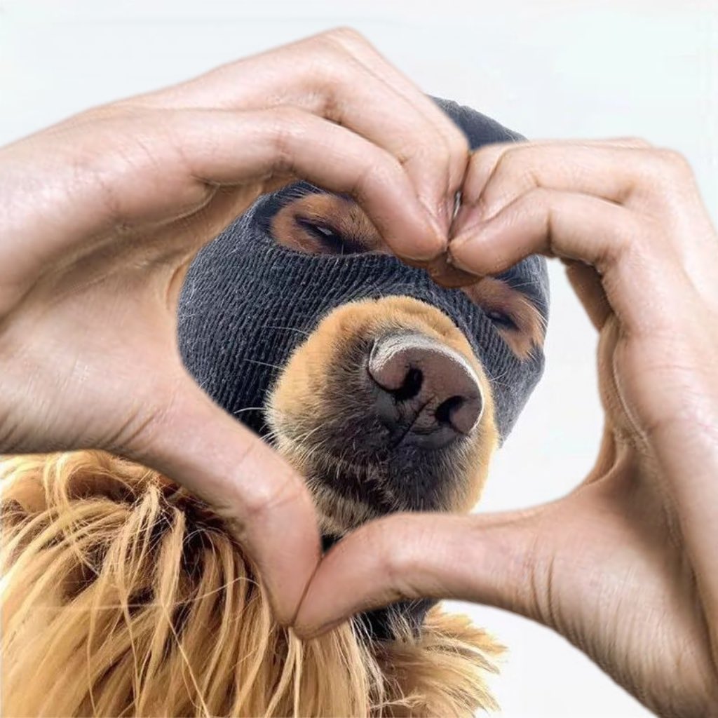 <a href="/babron0/">Carin Grimes</a> <a href="/Ski_CTO/">Ski Mask Dog</a> <a href="/jessepollak/">jesse.base.eth</a>