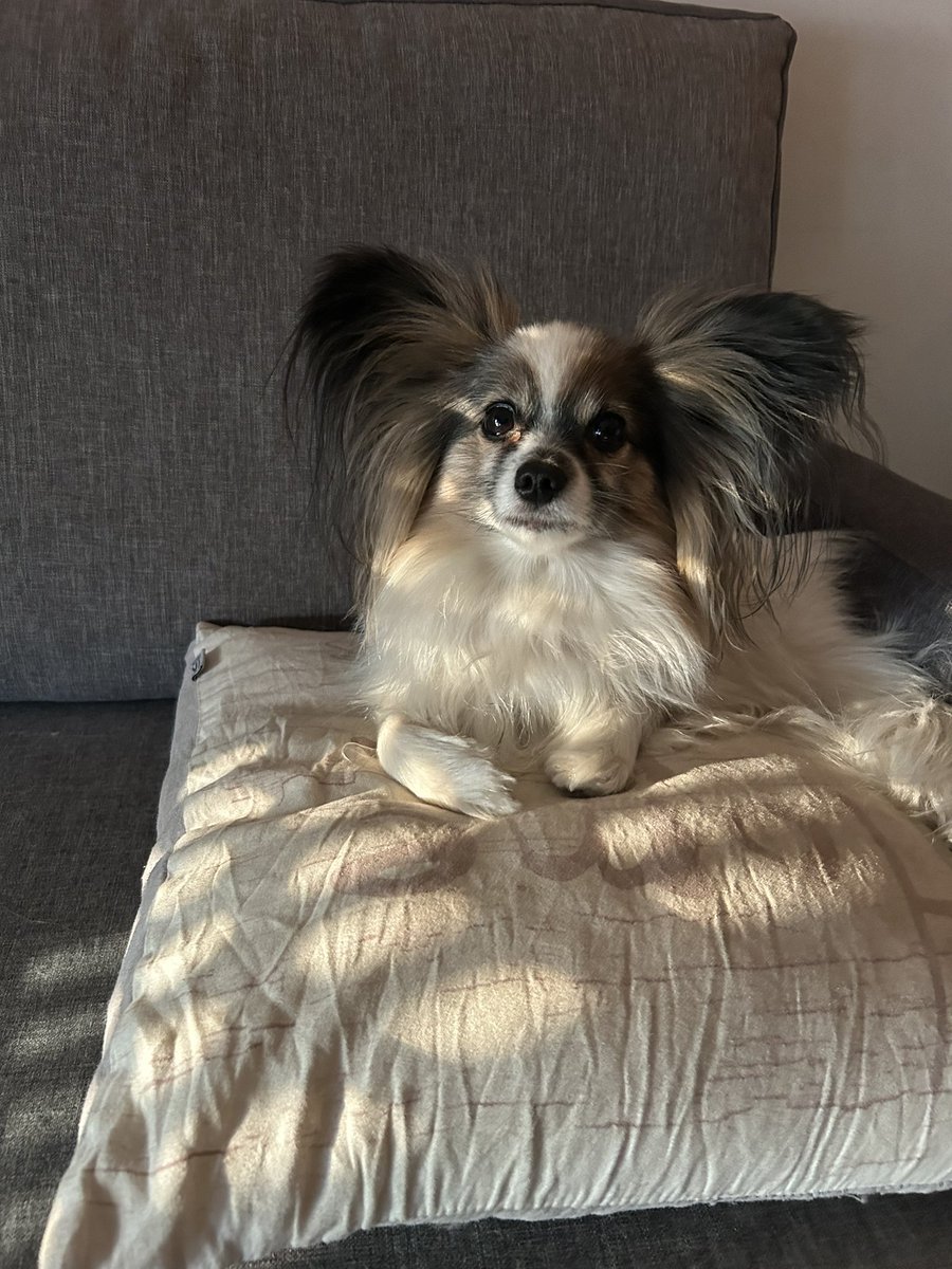 Petak? Ima li onda kakve ribe?