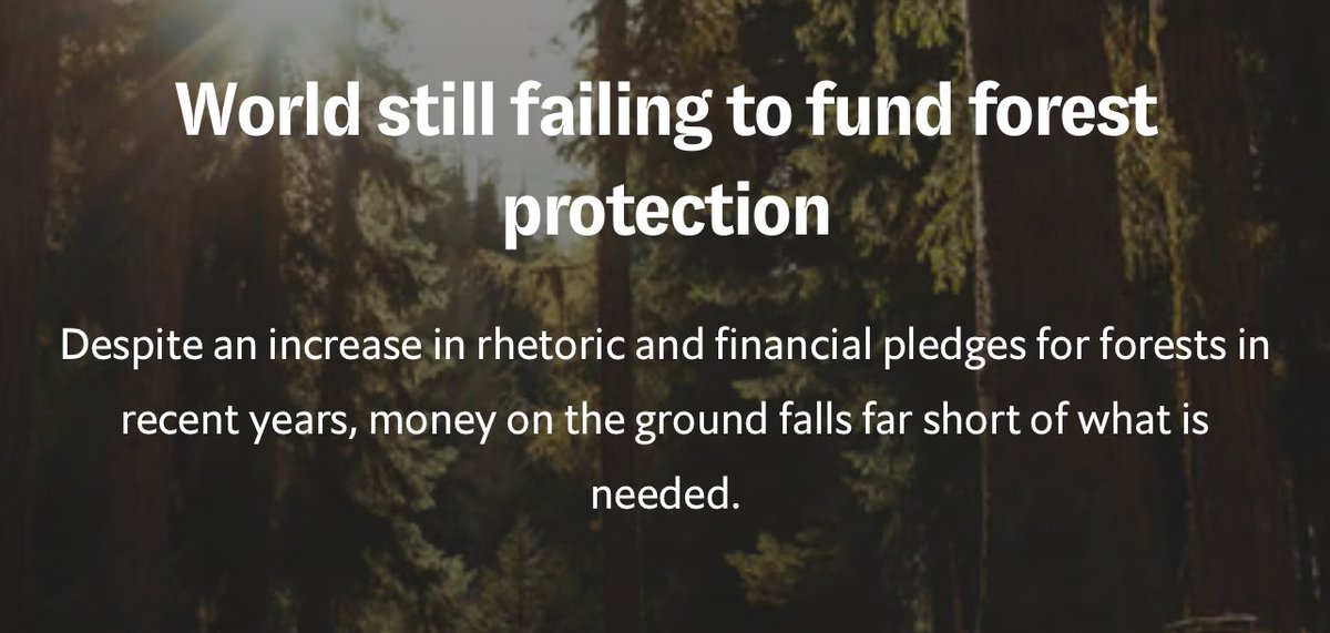 “There is an assumption that if you create a funding mechanism, it will inherently be filled up. A lot of energy is focused on the governance of a fund and how it’s going to distribute money, but not nearly enough thought goes into where the money is going to come from.” This is…