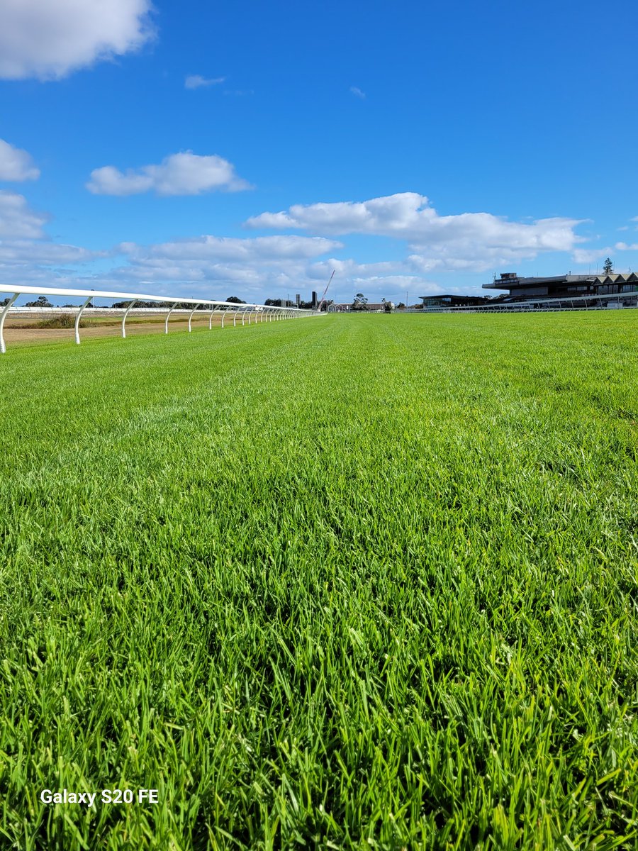 Racing SA Stewards tweet media