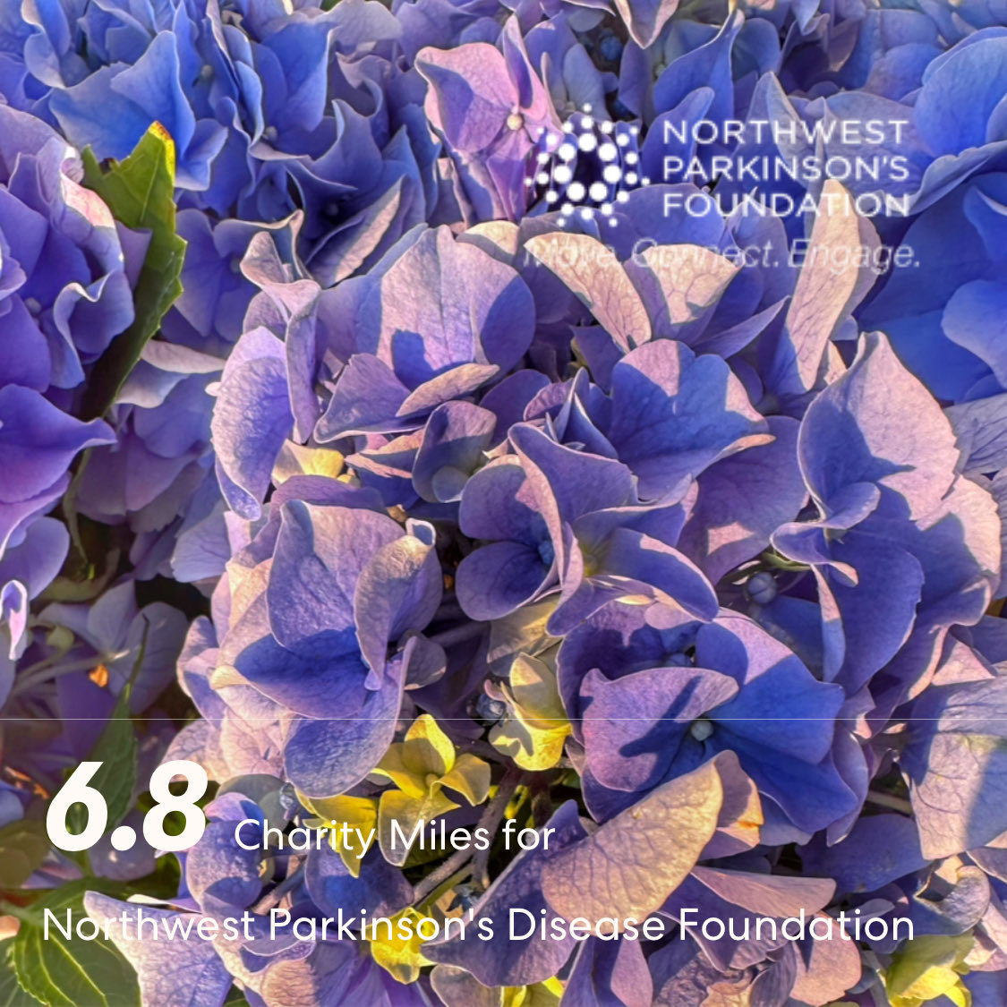 Eventually, 6.8 ⁦@CharityMiles⁩ for ⁦@NWParkinsons⁩ . I’d be grateful for your support. If you’re in a position to do so, please click here to sponsor me.

nwpf.donordrive.com/participant/Gr…