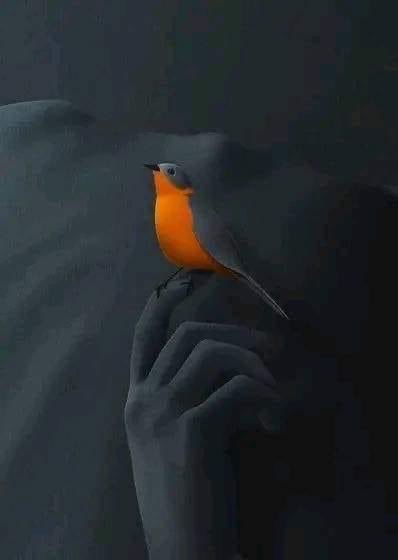 اعتبار عمل میں ھوتا ھے لفظوں میں نہیں ☺️🖤