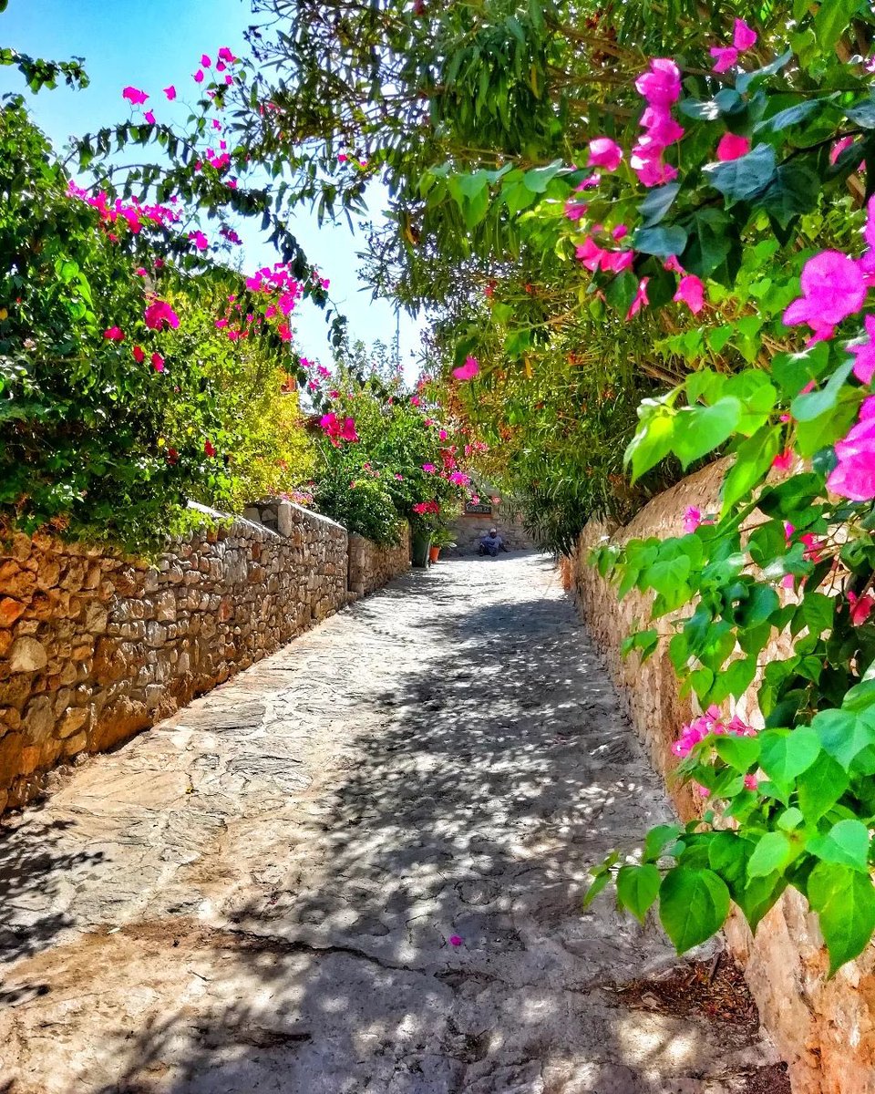 Güzel bir gün olsun 😊👋 Eski Datça ♥️
📸 @eyupkarsli53 👏🏻#eskidatça #datça #muğla #türkiye #turkey #gezgörbence #keşfet #keşfetteyiz