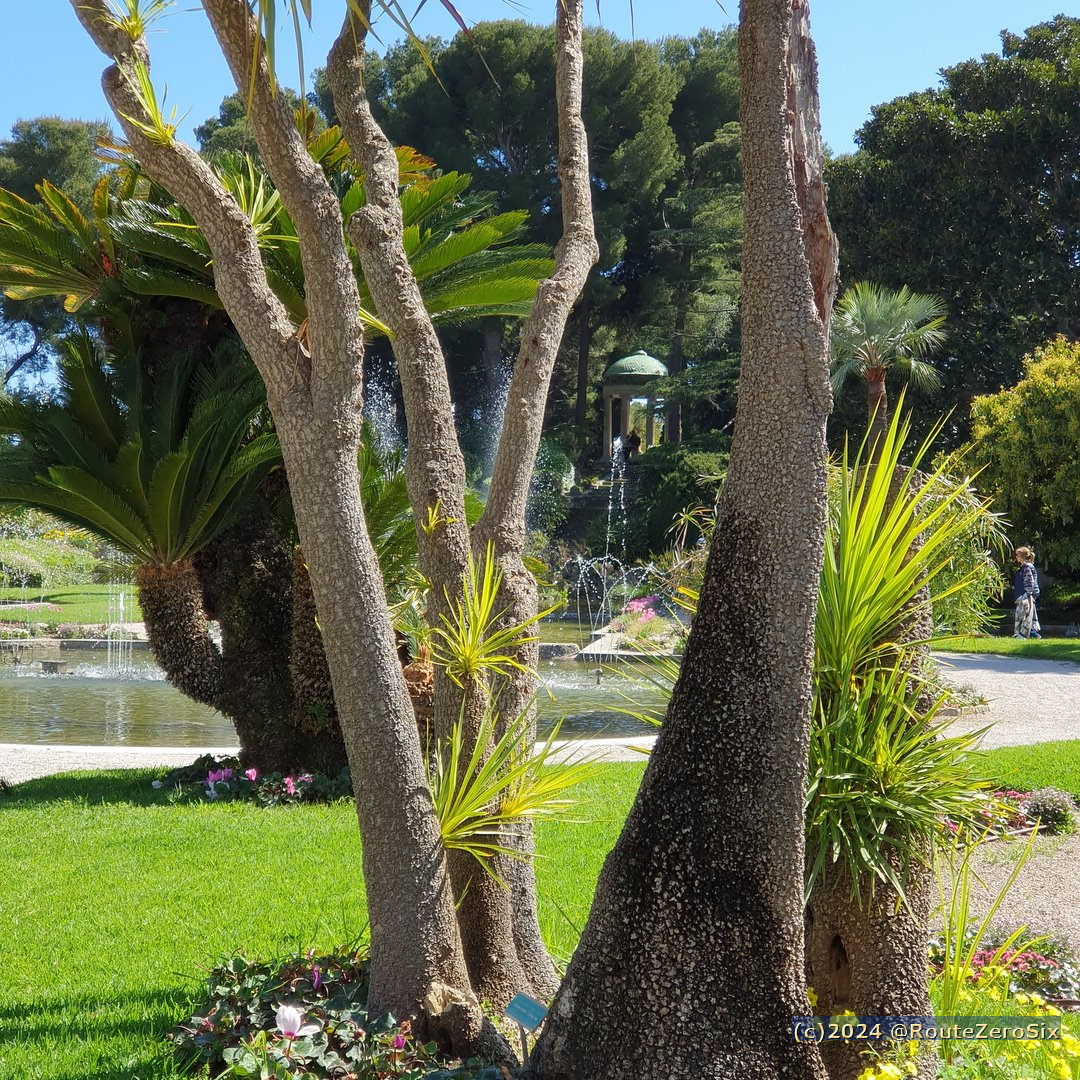 Jardin à la Française de la villa Ephrussi de Rothschild à Saint-Jean-Cap-Ferrat

 #villaephrussi #CapFerrat #SaintJeanCapFerrat #CotedAzurFrance #AlpesMaritimes #NiceCotedAzur #BaladeSympa #FrenchRiviera