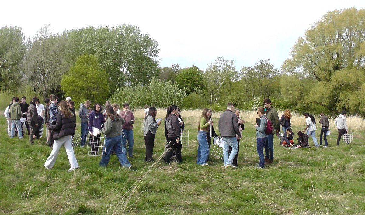 Do we have the Guinness book of records for the most students & quadrats in a meadow?! Even if not we all had a great botanical day recording plant indicator species in the campus meadows - plant ecology field class with @UniofReading @ReadingBioSci students & @MGS_tweets