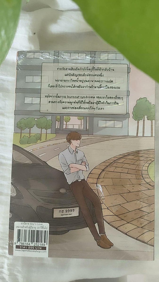 เอโย้ว tweet media