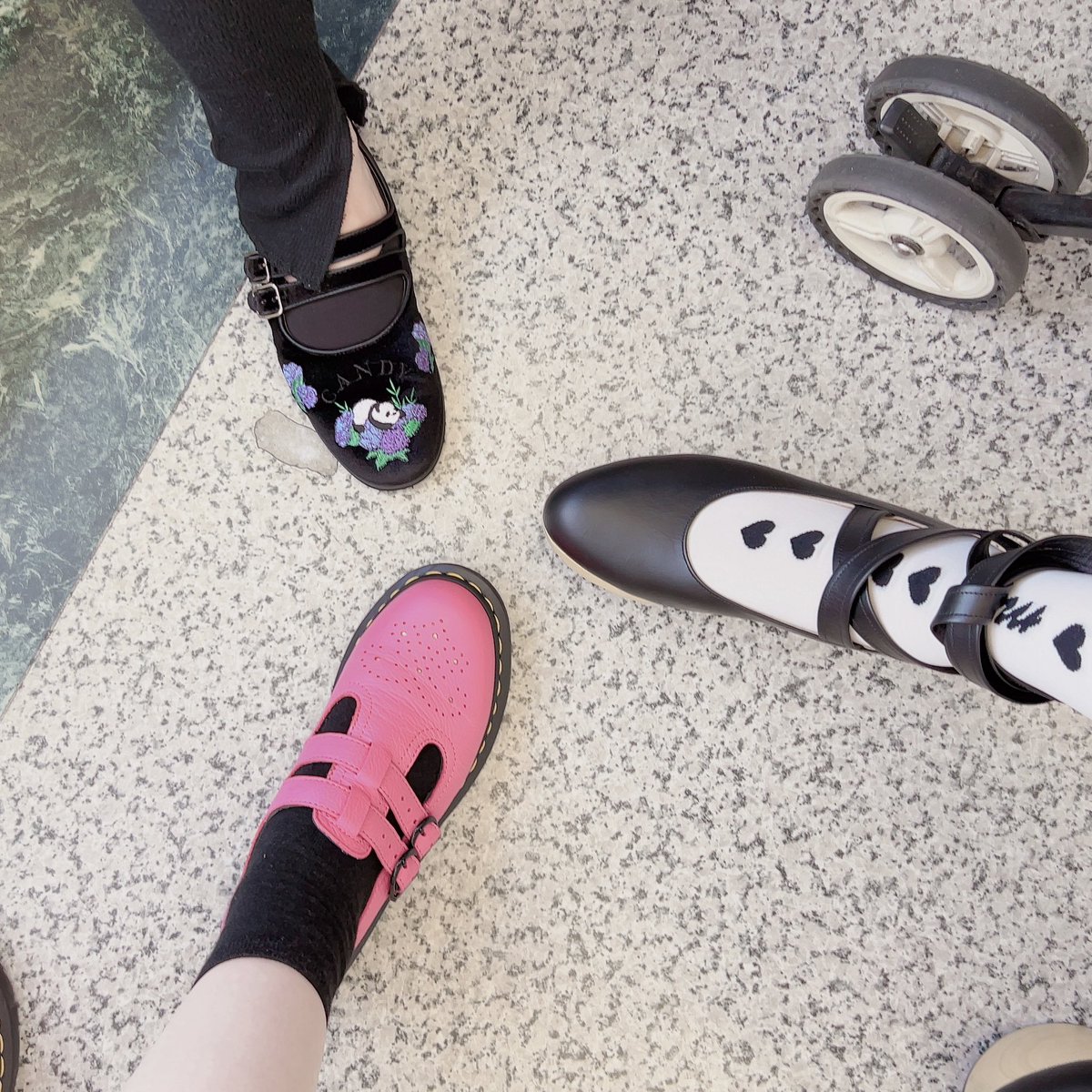 _kon_coco_'s tweet photo. 今日の可愛いたちを見ておくれ https://t.co/KUNgOuXH2R