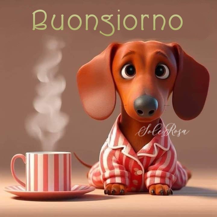 Patrizia Puccia tweet media