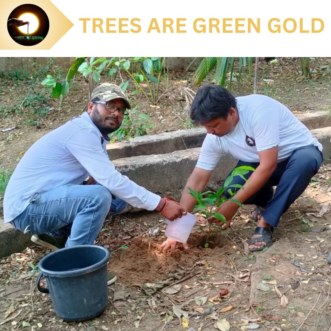 Let's cultivate a greener tomorrow with #ArtOfGiving! Through our plantation efforts, we sow the seeds of environmental sustainability and nurture the earth for future generations.
.
.
.
.
.
.
#AOG #GreeneryGoals #plantation #saveenverionment
