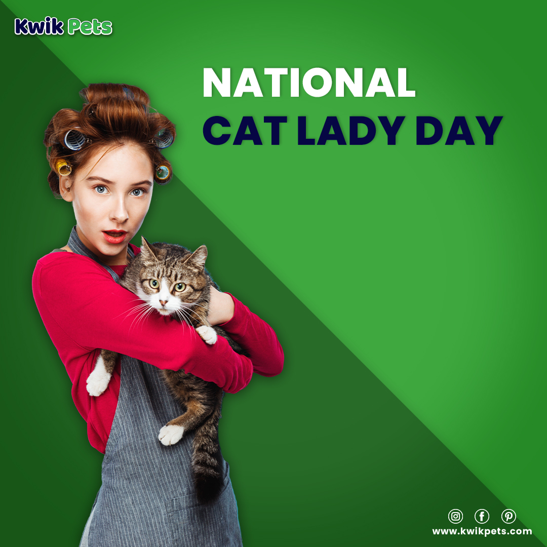 KwikPets celebrates the National Cat Lady Day. Wishing all the cat parents, we are here with a complete range of cat care supplies.

#NationalCatLady #catlady #catparents #catcare #catsupplies #KwikPets