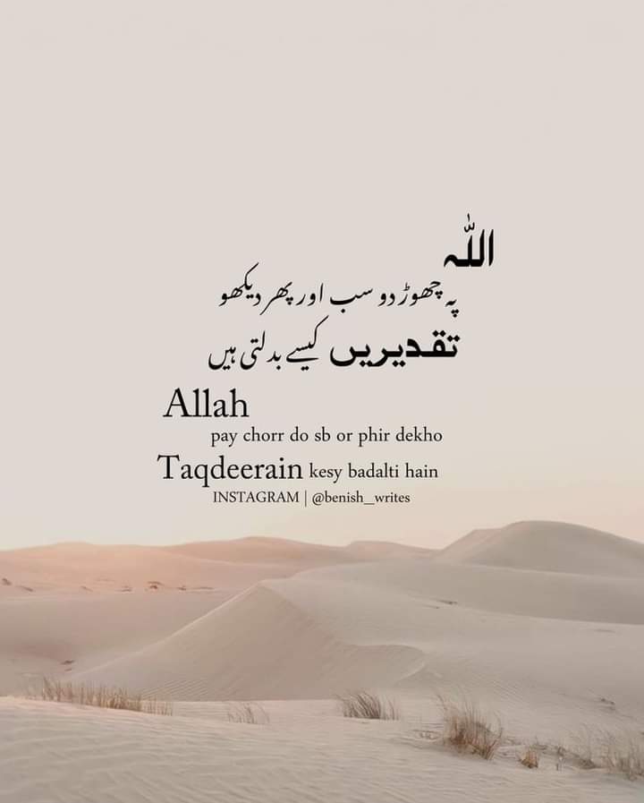 Zimal Khan (@zimalkhan123837) on Twitter photo 