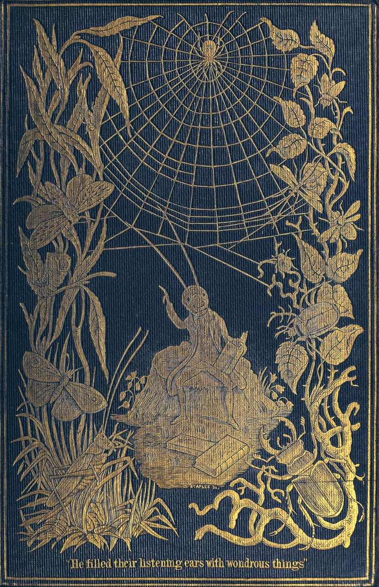 Book Cover of the Day:
Episodes of insect life. 1849.