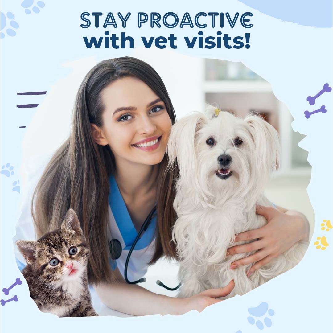 Learn about the importance of regular vet check-ups for your pet's overall health.

#PetWellness #VetCheckups #PetHealth #WellnessCheck #AnimalCare #HealthyPets #VeterinaryCare #PetCheckup #PreventativeCare #PetWellbeing #animalhealth #Pawsandpaws #vetvisits #pethealth