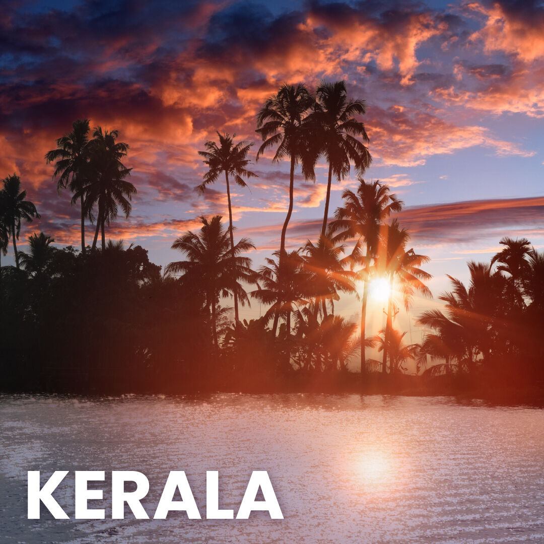 From serene river sides in Kerala to picturesque landscapes in Kashmir, every destination in India promises culture, beauty, and lifelong memories 🌟

Stay Tuned for more💫

#gauratravel #travelindia #flyindia #indiatickets #indiatourism #indiansinaustralia #indiansinmelbourne