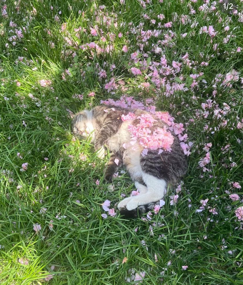 <3