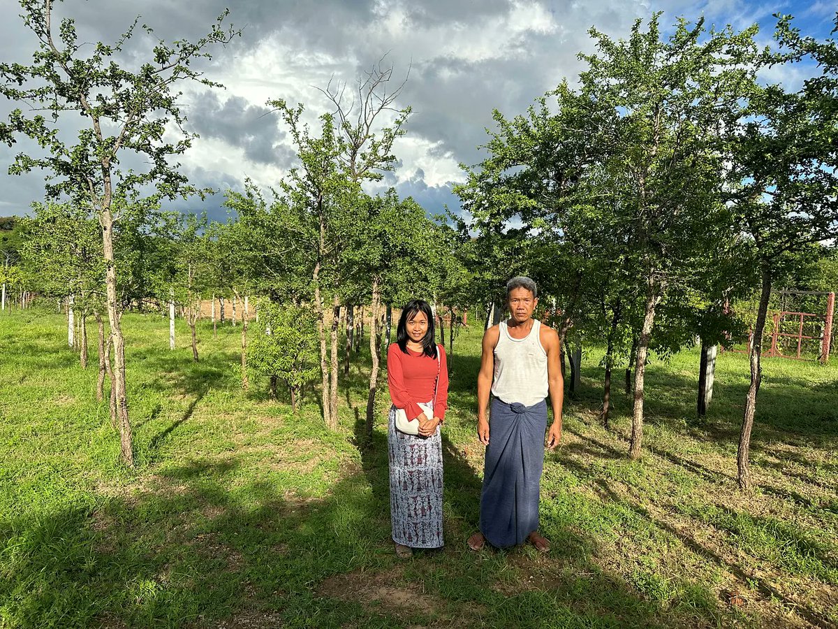 Thanaka  is a farm tree of cultural & historical significance (and of importance for farmers' livelihoods). A nicely visualised story by Khant Sandar Htet on her PhD fieldwork in Myanmar. #PeopleNatureLandscapesBlog. @DAAD_Germany. link.medium.com/18uNPEPOUIb