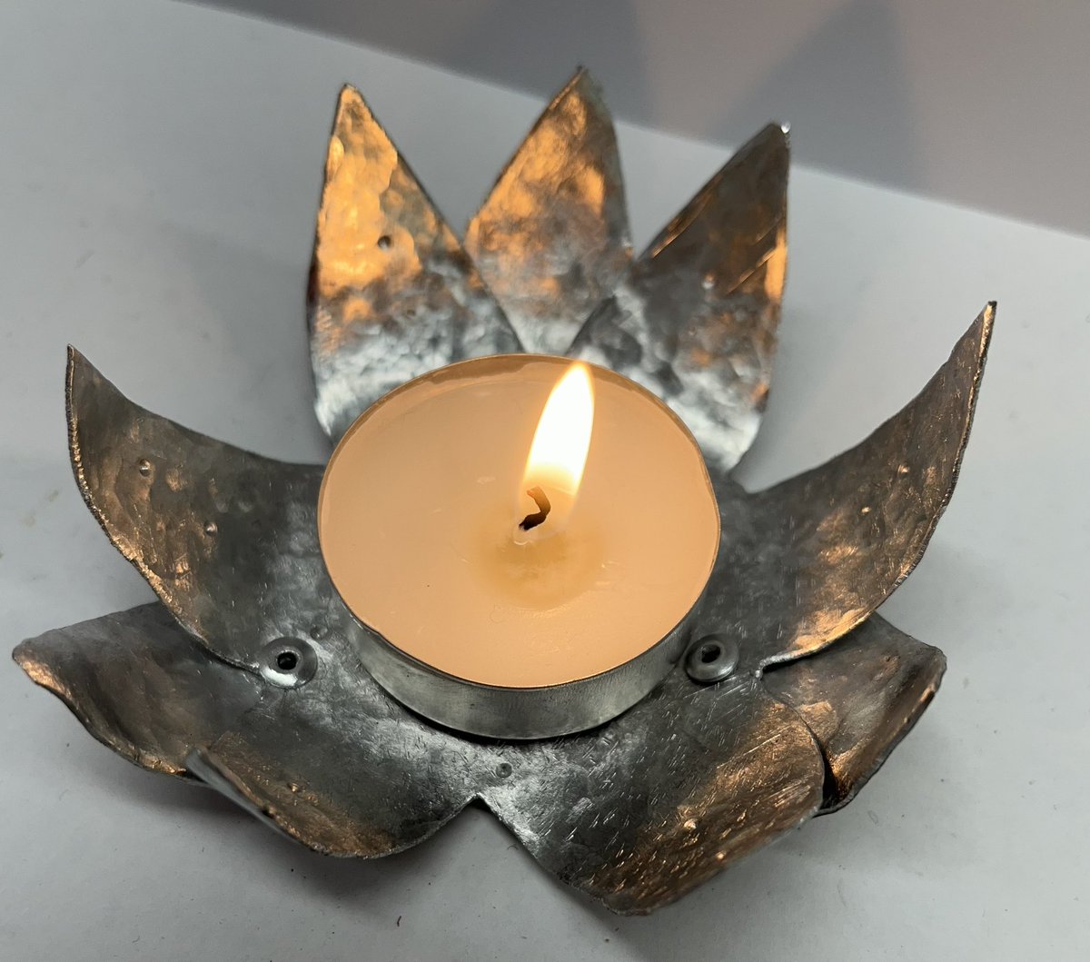 DT Dept Melksham Oak tweet media