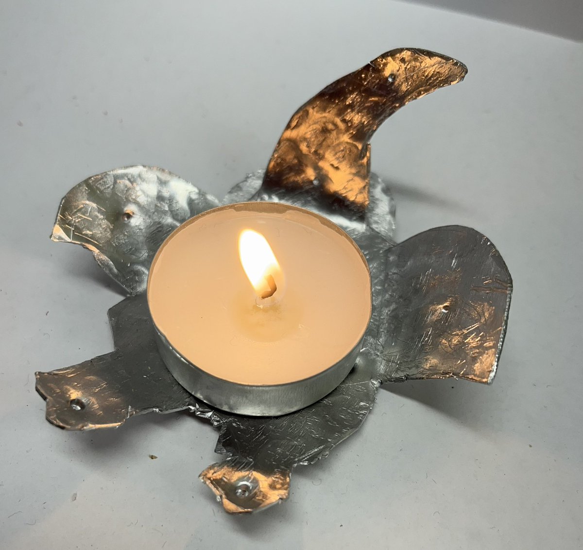 DT Dept Melksham Oak tweet media