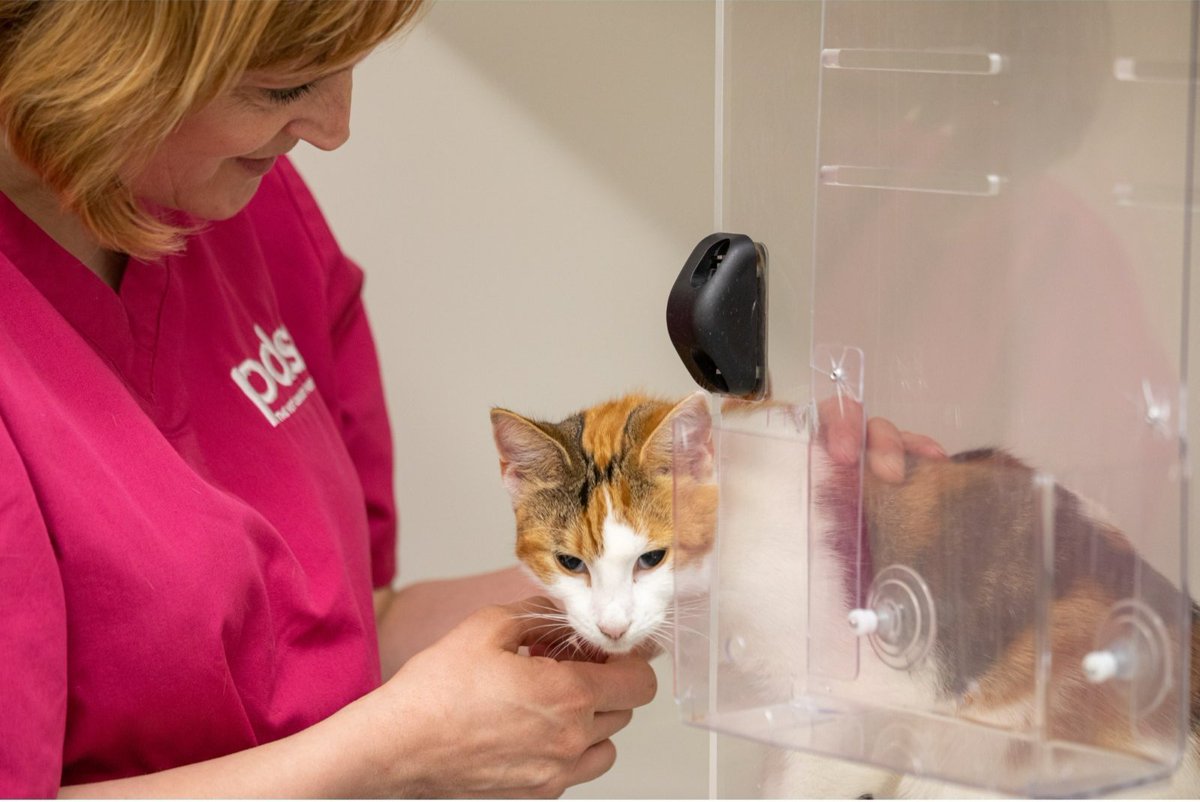 🚨 🐱 UK cat owners, take note! In just two months, microchipping your feline friend will be the law. Protect your pet and avoid fines by ensuring they're microchipped: ow.ly/EXlc50RerB6
 
#CatMicrochipping #PetSafety #Superpet #Cats #CatLovers