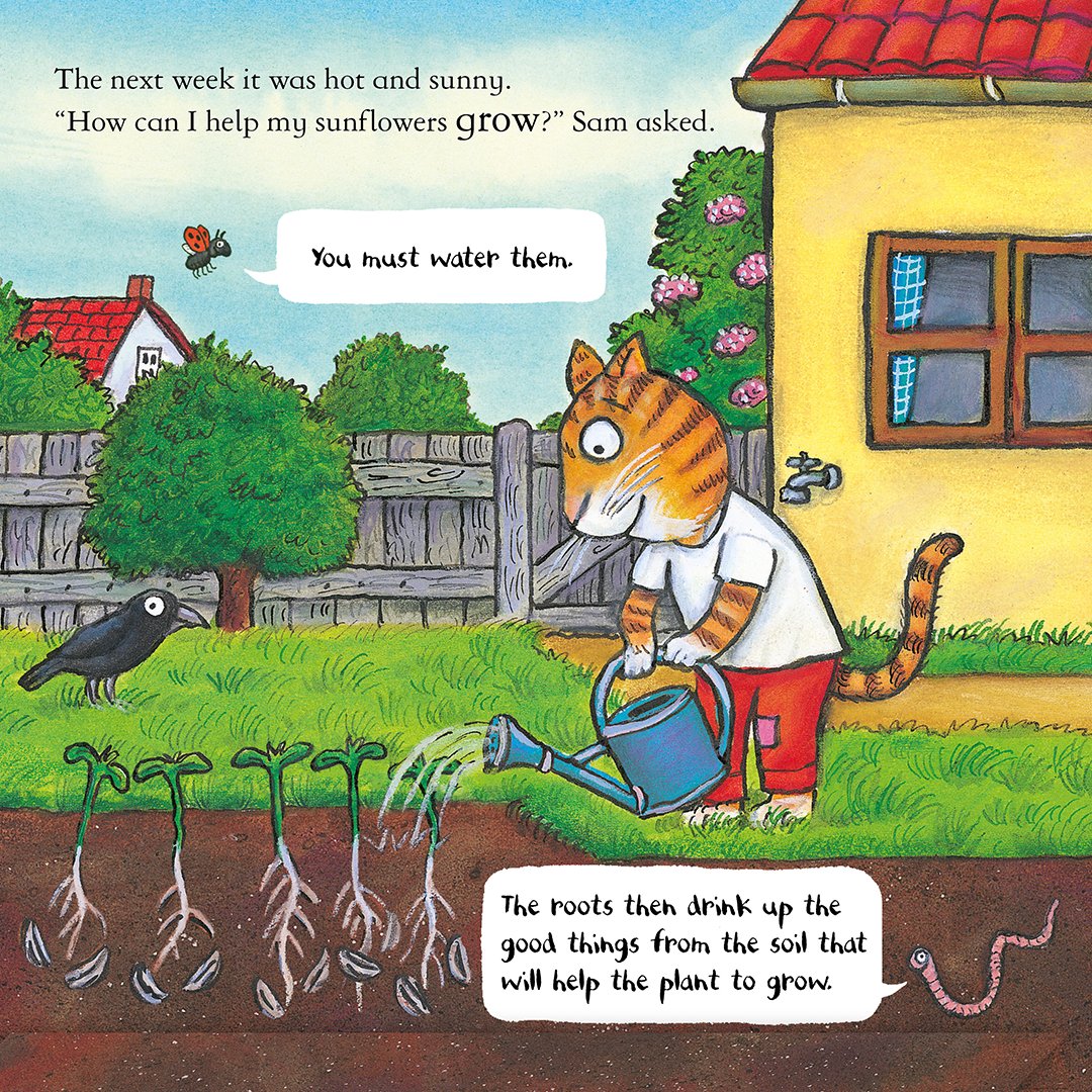 Sam loves big, yellow sunflowers, so when his friends Worm and Ladybird suggest he grow his own, he soon plants some seeds in his garden🌻 Now in paperback, get your copy of @nationaltrust: Sam Plants a Sunflower today📚: ow.ly/H5cR50Rhf26 #KatePetty