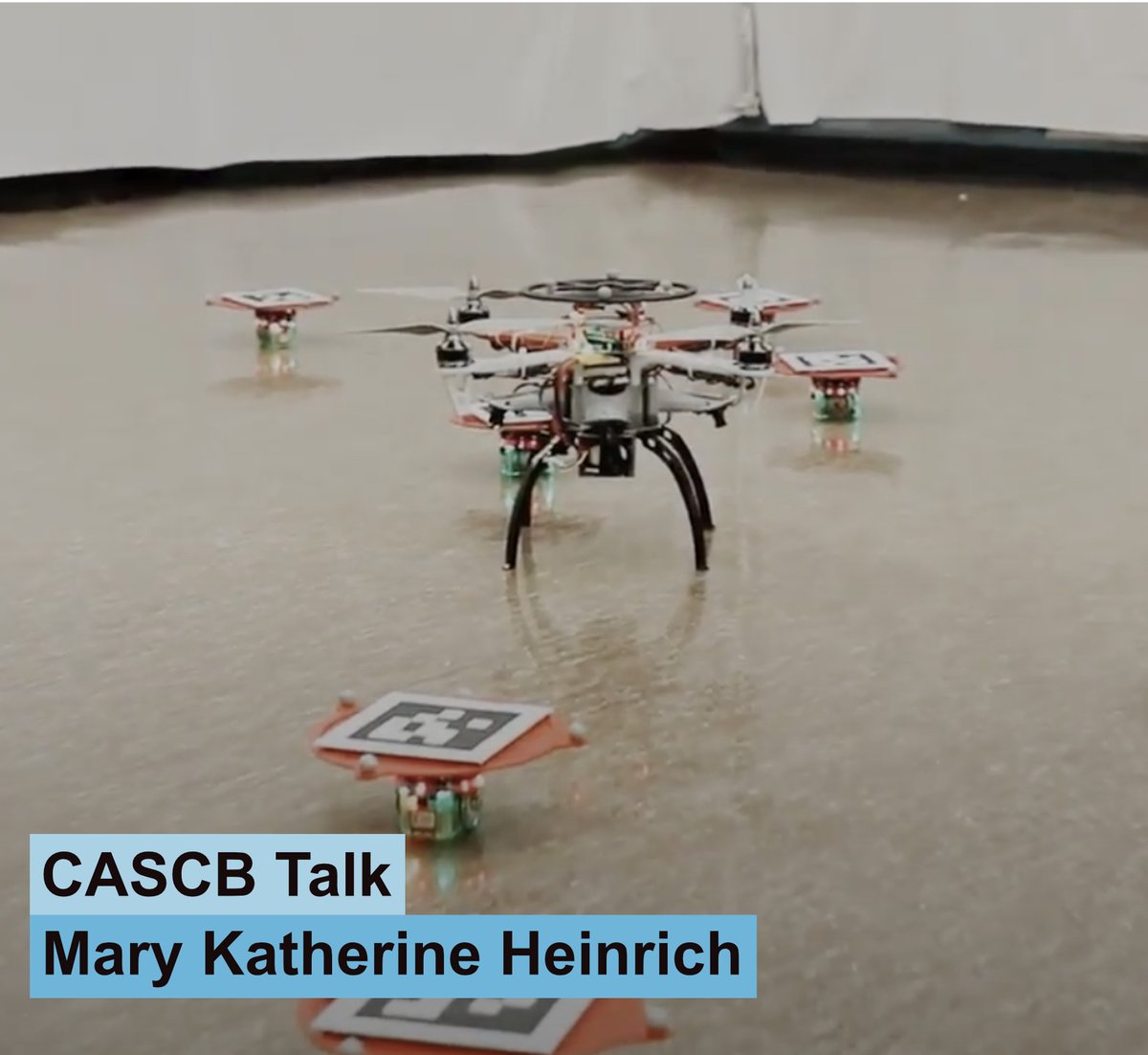 The @CBehav seminar series starts today! Our first speaker, Mary Katherine Heinrich, is visiting from IRIDIA, @ULBruxelles. She speaks about Self-organizing nervous systems for robot swarms. Join the talk in person on 22 April, noon @UniKonstanz, ZT 702: exc.uni-konstanz.de/collective-beh…