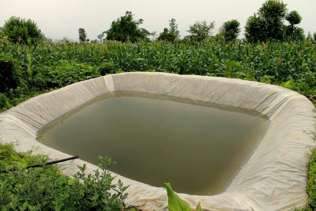 Rainwater: a natural resource, our enduring remedy. Using #rainwater #effectively is not only wise, but also essential for #agriculture, #water security and resource #conservation. To create a more resilient and #environmentally friendly future.#Reclamation #EarthDay #Resilience