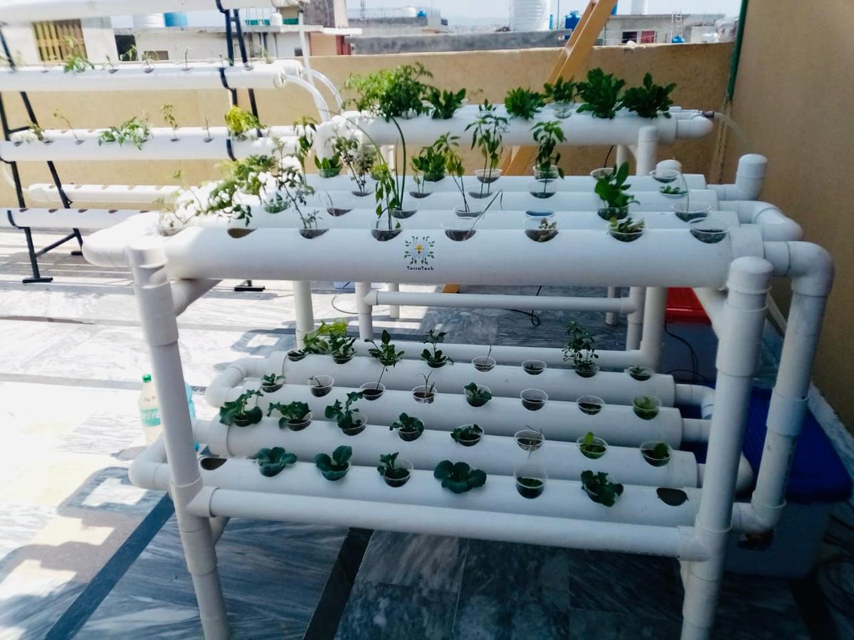 Institute of Urbanism tweet media