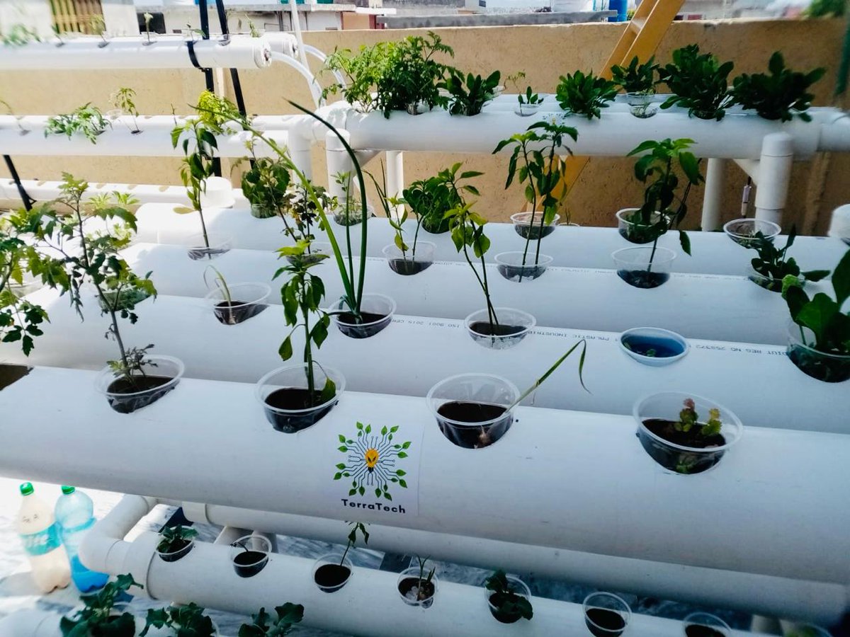 GUDS grant recipient has launched an urban hydroponic farm turning the grant by #IoU @usembislamabad @solforgpk into a sustainable model! This innovative project bolsters urban green cover & fosters sustainable food production paving the way for greener, healthier cities.