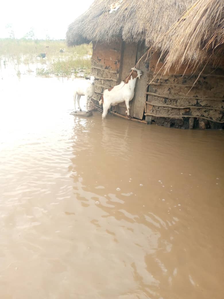 UgandaRedCross tweet picture