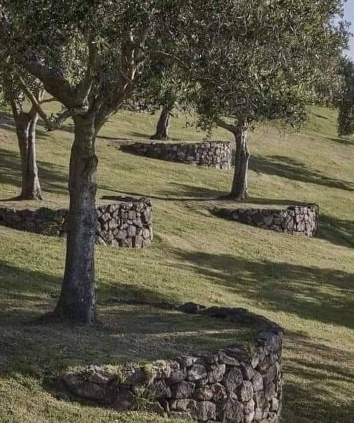 SATILIK TOPRAK... Herkes zannediyorki savaş falan çıkacak vatan için silahımızı, kılıcımızı alıp cepheden cepheye koşup vatanımızı, toprağımızı kurtaracağız eskisi gibi... Hayır öyle olmayacak artık..! Sizler çocuğum rezil olmasın şehirde büyüsün, şehirden ev, araba alayım,