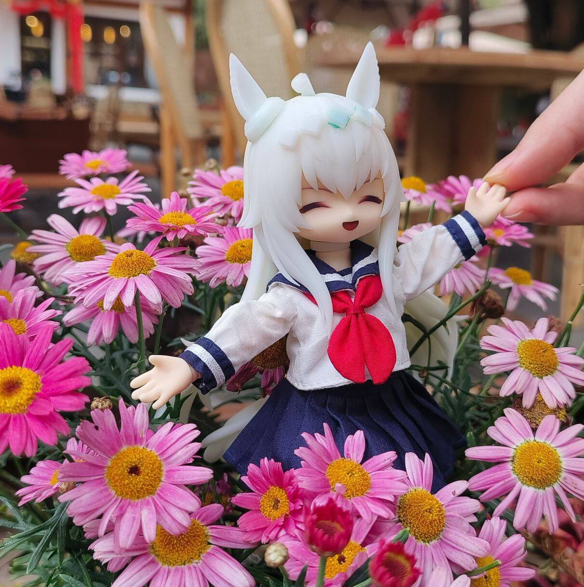 Luoyecoffce's tweet photo. https://t.co/746NkbMvfl