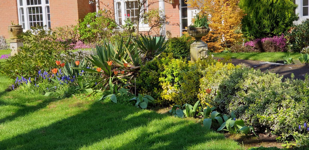 chrisjay tweet media