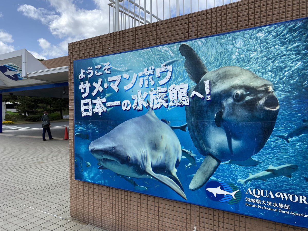 ネモフィラ会場🦈🐠