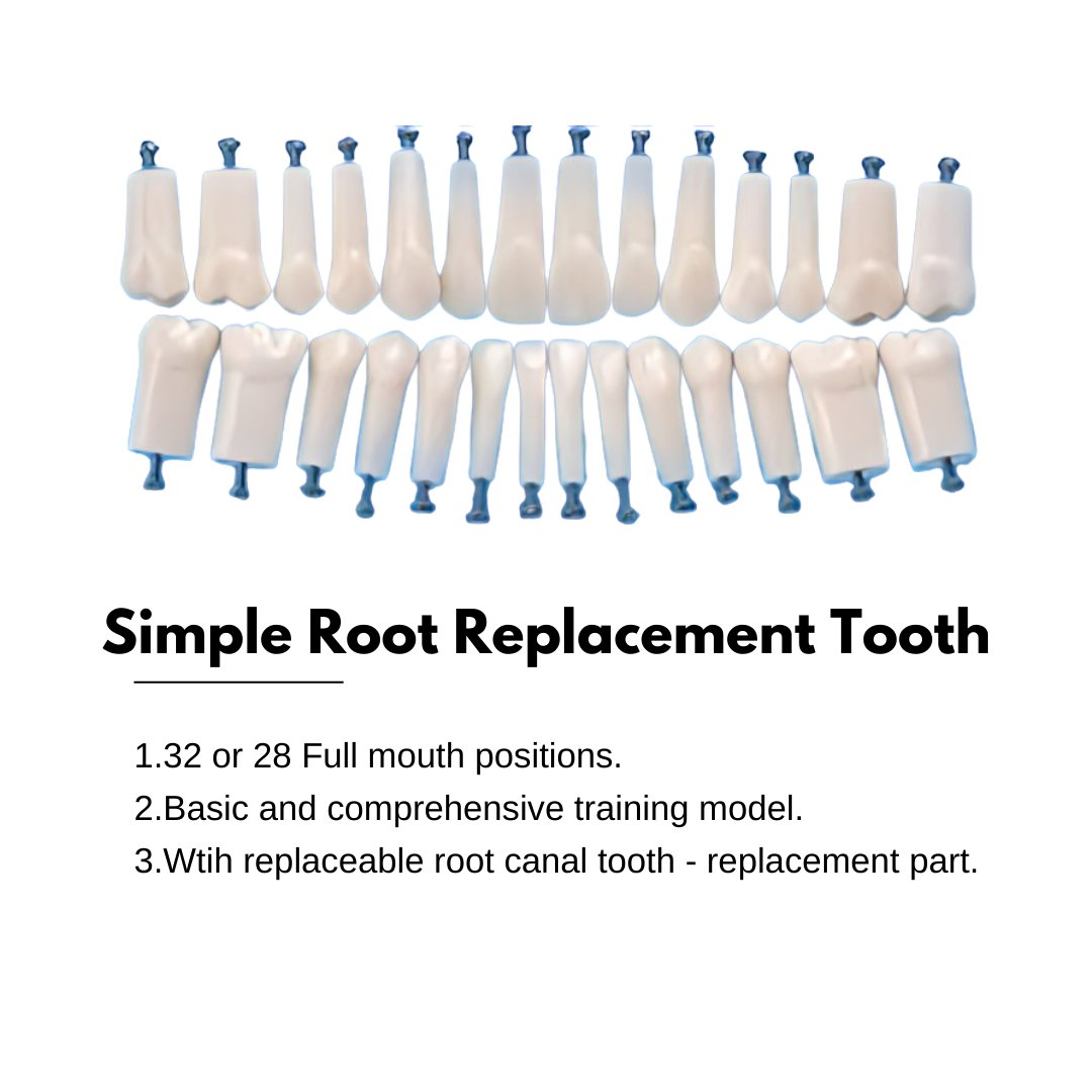 👅Dental Drilling & Root Canal Full Mouth Practice Model👅youtu.be/o9e2LCUWiPM?si… via @YouTube 
#DentalSimulation #clinic #dentalschool #dentallab #dentist #dentistryworld #dentalmodel #drilling #rootcanals #gingiva #fullmouth #practice #dentalstudent #trainingmodels #teeth