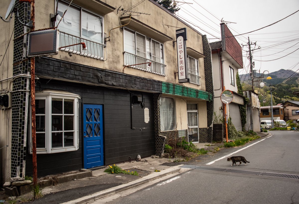 人ではなく猫が闊歩する温泉街