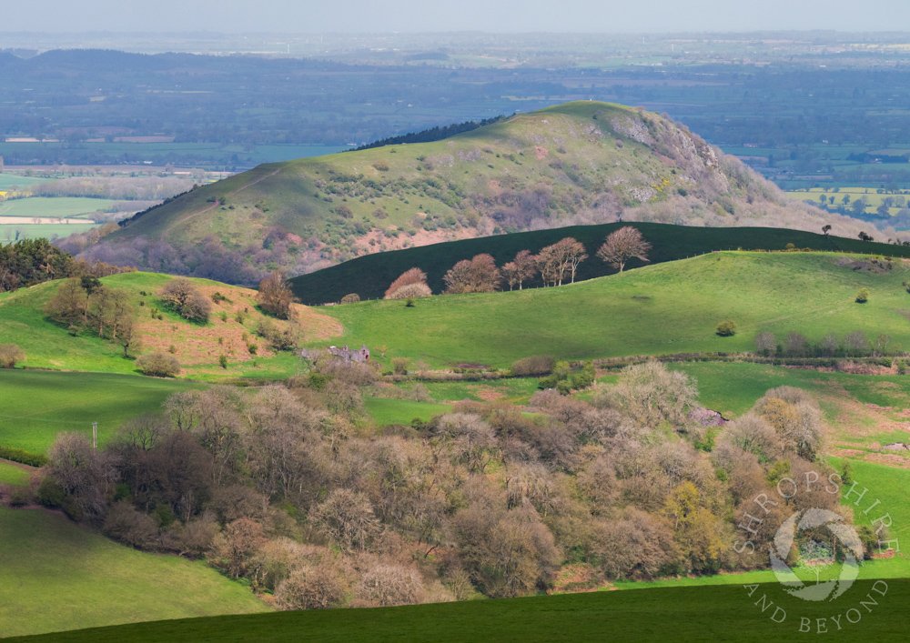 Hail, rain and a bitingly cold wind - I endured them all on Cothercott Hill as I waited for the sun to come out. It was worth it in the end for this shot of Earl’s Hill, with Westcott Hill in the foreground and trees on Huglith Hill standing out against Lawn Hill. #Shropshire