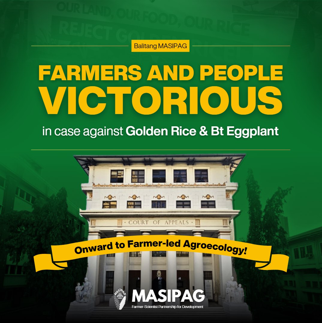 BREAKING: In a historic win by the Filipino farmers and people against the highly dangerous GM Golden Rice and Bt Eggplant, the Court has now ordered today a CEASE AND DESIST order for the commercial propagation and conduct of activities related to GM Golden Rice and Bt Eggplant