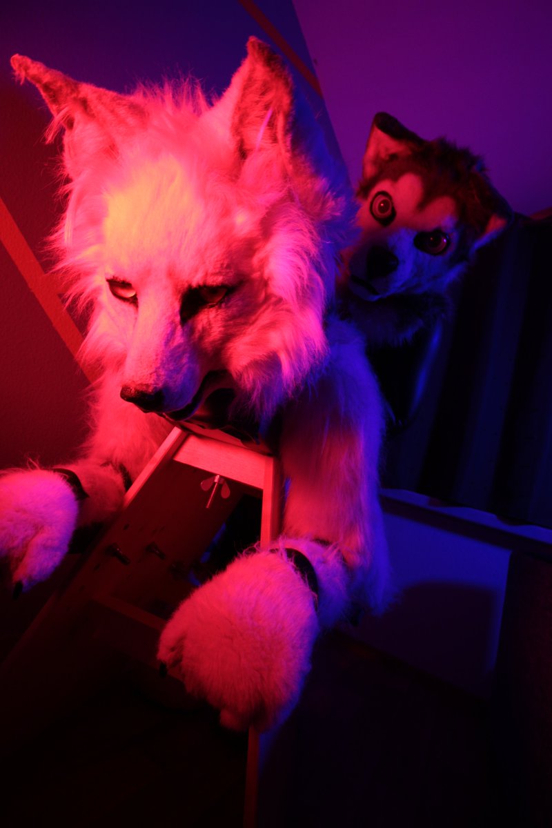 NaughtyBerk's tweet photo. Is this my booked Thai massage with a happy end?
Happy #Naughty #FursuitFriday
🐺 @SkyHuskyAD ❤️
⛓📷 @Naitas_AD
🗓 22.10.2023
🏙 Dresden 🇩🇪
#Bondage #Murrsuit #BDSM #Cuffs #Collar #Wolf #Strafbock #Spanking #Bench
Follow my naughty channel (TG):
https://t.co/yHPq6iPlHw https://t.co/y4ZMQRYMlo