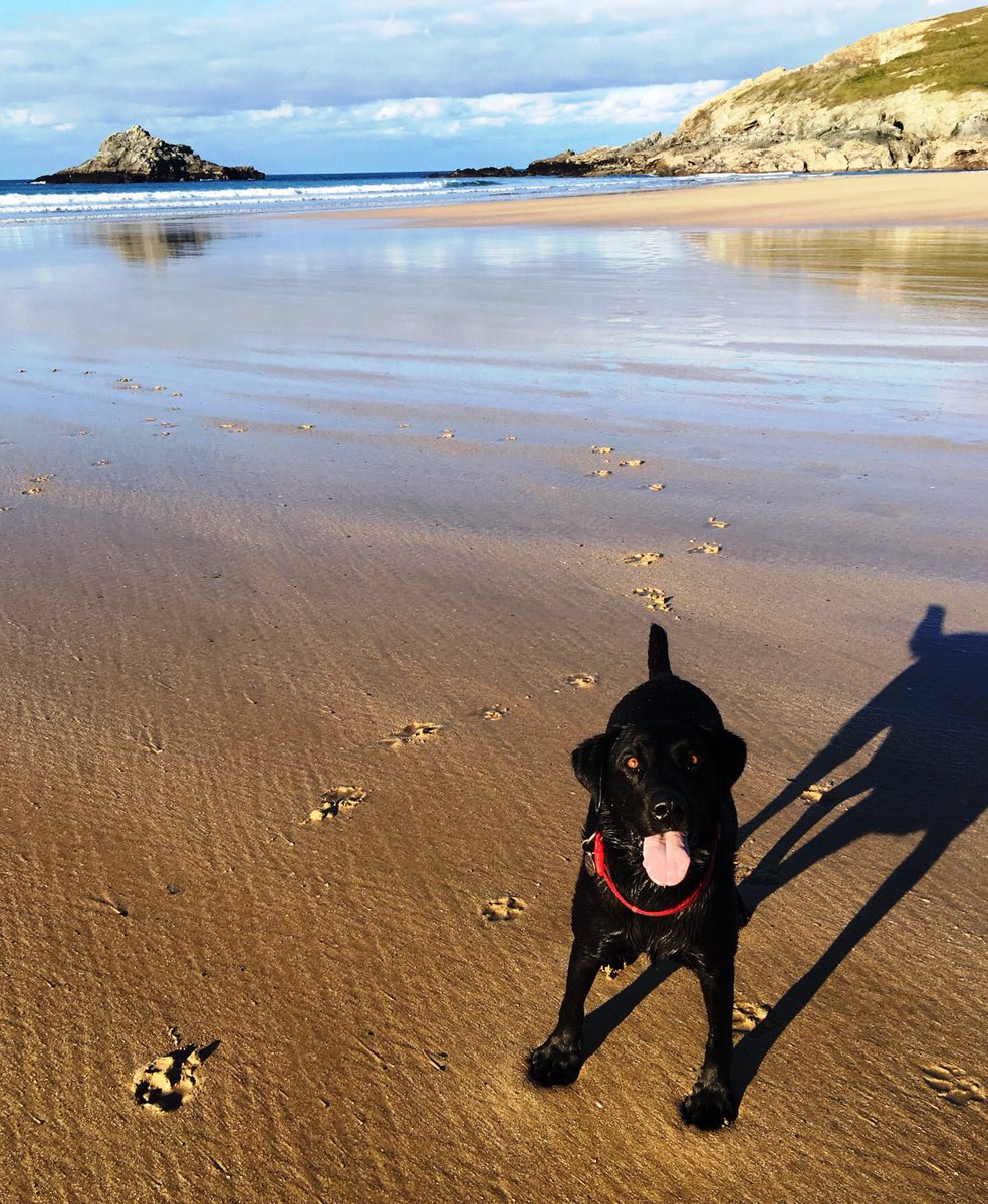 A woofly welcome and a tasty treat awaits you and your furry friend @Cbaycafe 
 
dotty4paws.co.uk/businesses/lis… … … 

#Crantock #Cornwall #Earlybiz #DogFriendly