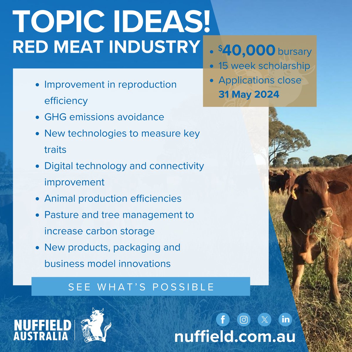ARE YOU involved in the #redmeat or #NorthernPastoral Industry in Australia? If so you apply for a 2025 Nuffield Scholarship generously supported by @meatlivestock & @AustAgCo @EldersLimited @ConPastCo andS.Kidman & Co nuffield.com.au #applynow #Aussiebeef #FNQ #BEEF