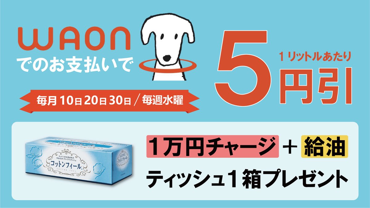 keeperpro_ishii's tweet photo. 本日はWAON の日🐶
WAON払いで、ガソリン＆軽油が1L=５円引き
※川島石油アプリとの併用可

WAON１万円チャージで、コットンフィールのBOXティッシュ１箱プレゼント🎁

ご来店お待ちしております！✨ https://t.co/VuoEmnI1zi