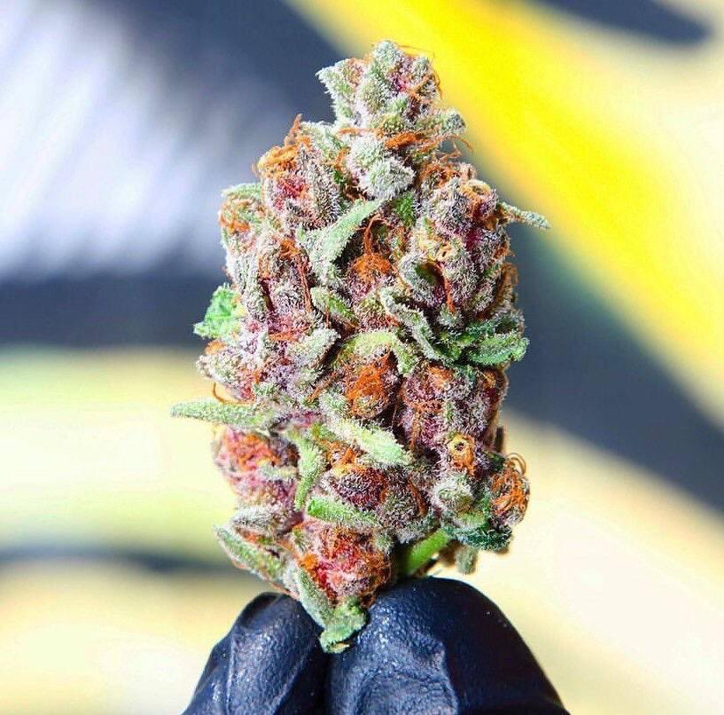 Give this strain a name! 😍🔥 Best name gets 22g!