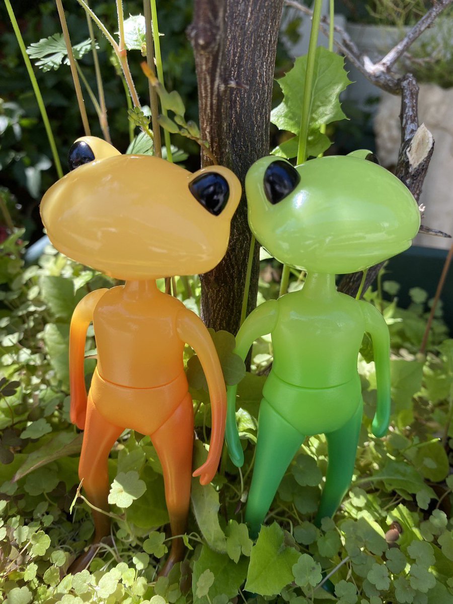 wanda_frog's tweet photo. 📣春天新蛙娃4/23 7pm JST上架
大地回春,春天為大地帶來生機🌱而春天跟本月的大蛙們也很大關係呢

#wonderfrog #wandashop https://t.co/TKWJarUNRt